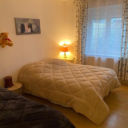 Laval-sur-Vologne Au Coeur Des Vosges 아파트 외부 사진